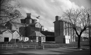 Wagga Flour Mill 1969 [Lennon CSURA RW1574.417]