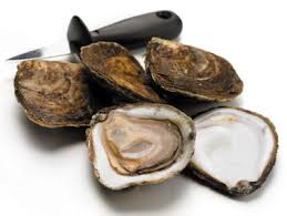 oysters