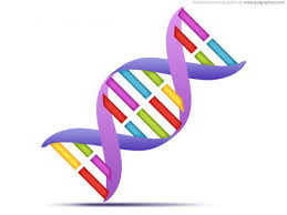 DNA