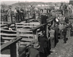 Saleyards 1936